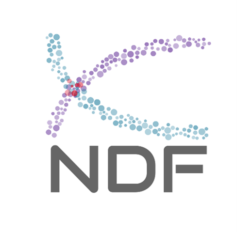 Logo of NDF